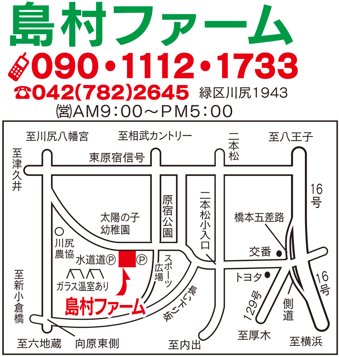 ”丈夫”で”実りが良い”野菜苗が60円〜 (写真2)