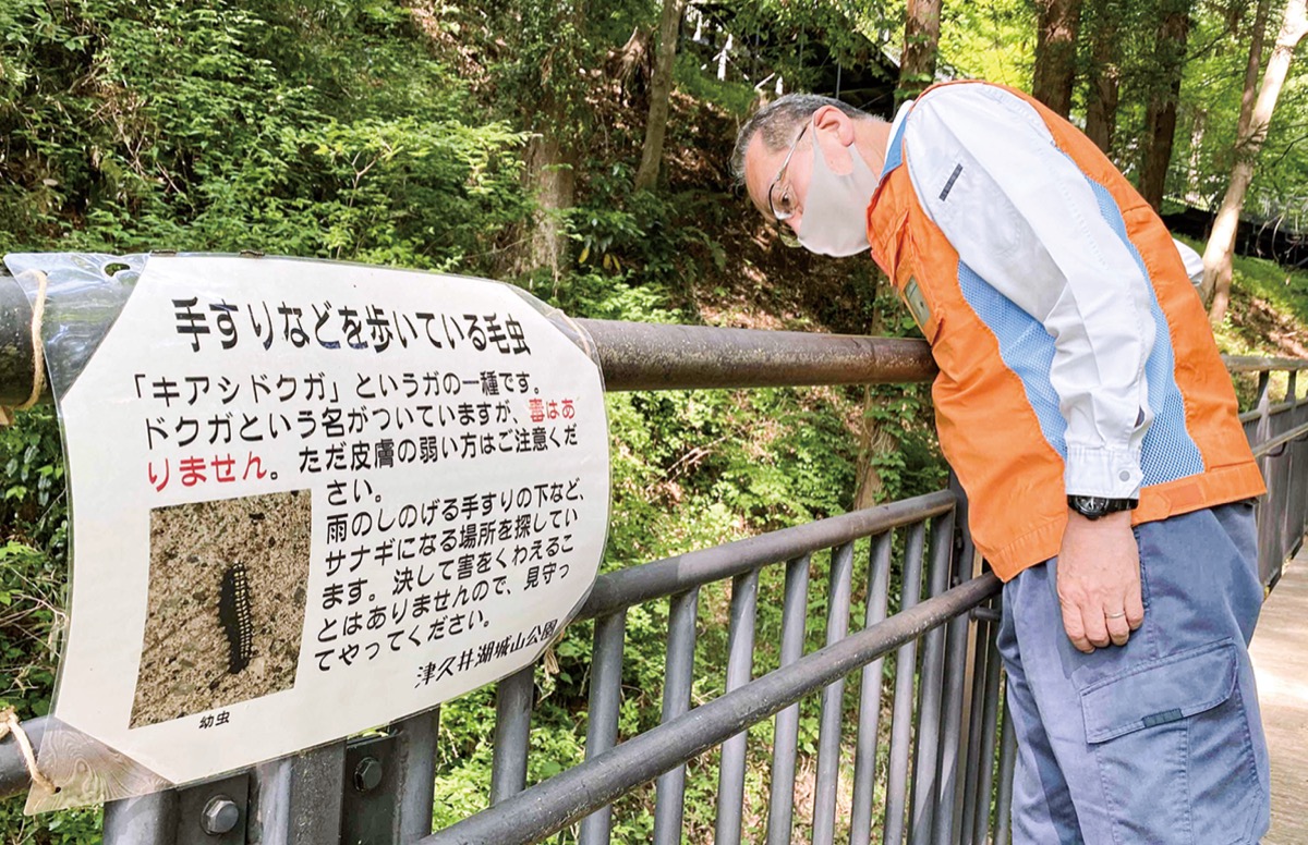 毛虫 限度超えてる 多さ 城山公園で注意ポスター さがみはら緑区 タウンニュース