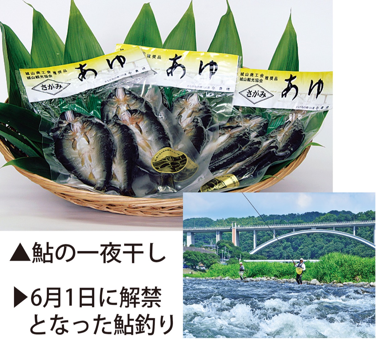 旬な「鮎」を一夜干しに (写真1)