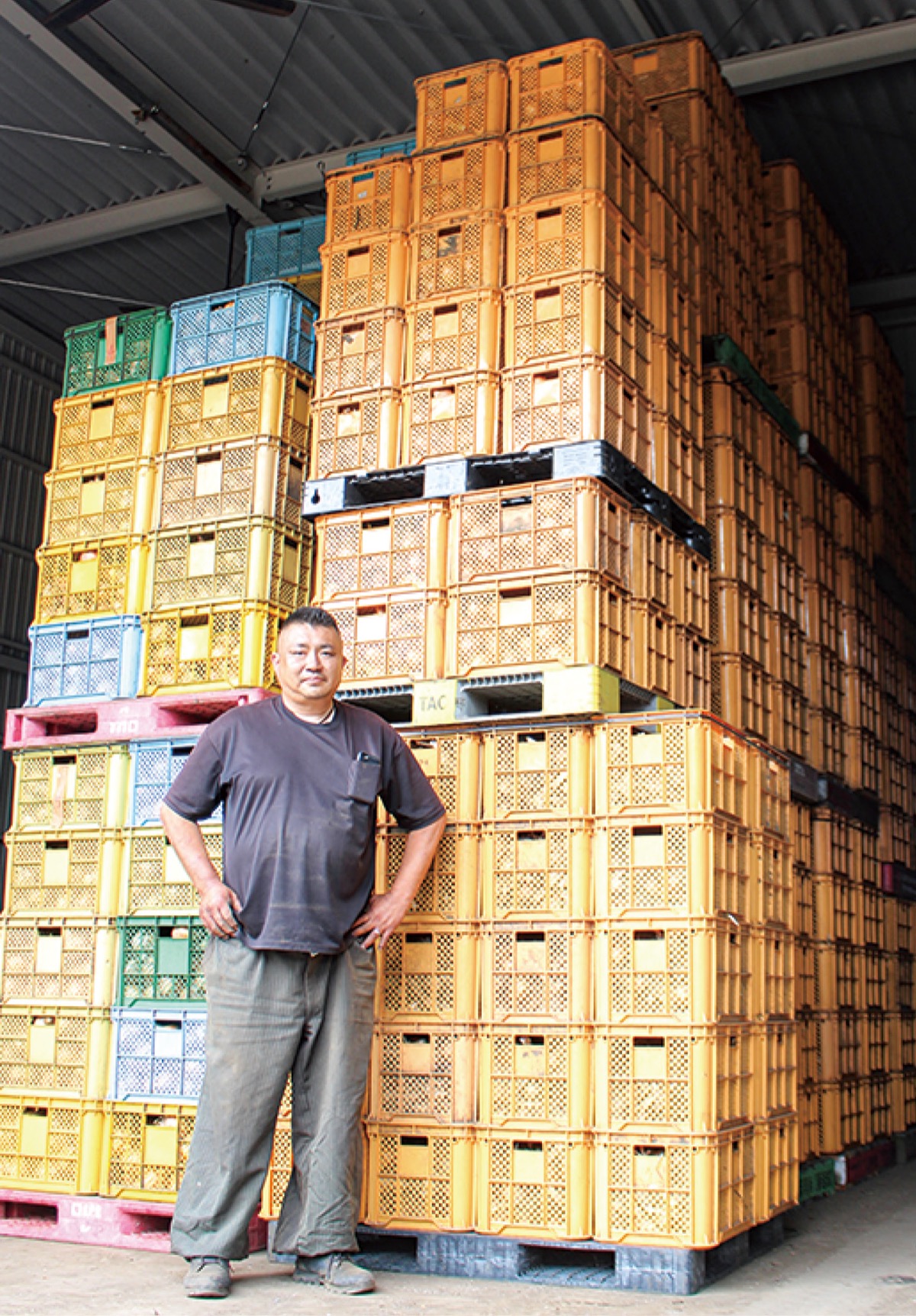 高く積まれた玉ねぎと和泉代表