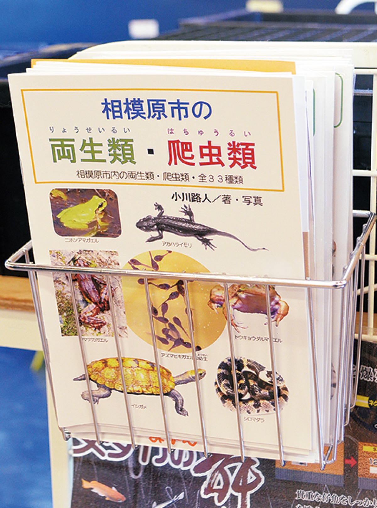 ペッツワン城山店(カインズ城山店内)に設置された図鑑のラック