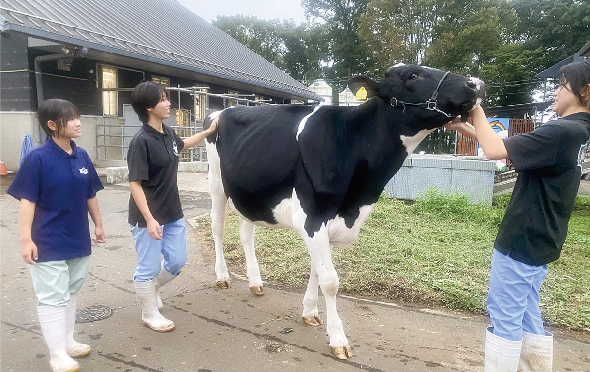「乳牛五輪」県代表に