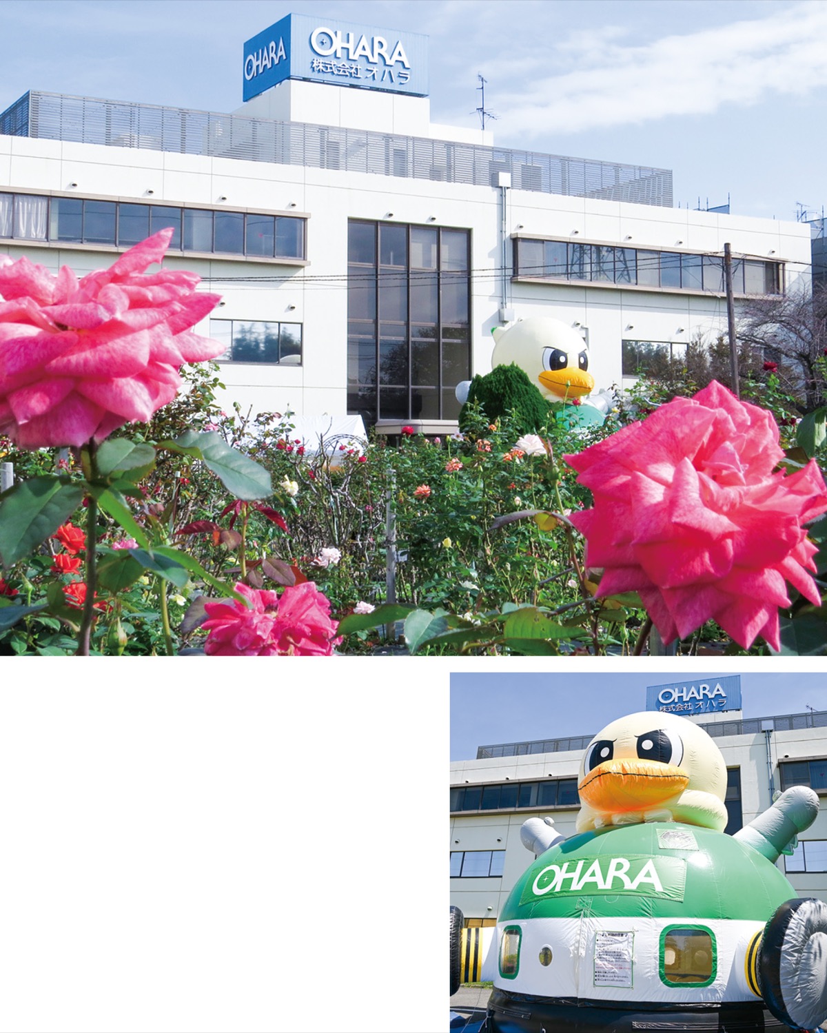 バラ園を一般公開