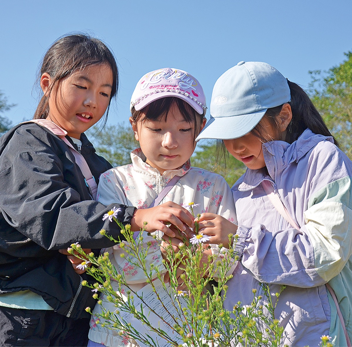 虫害乗り越え開花