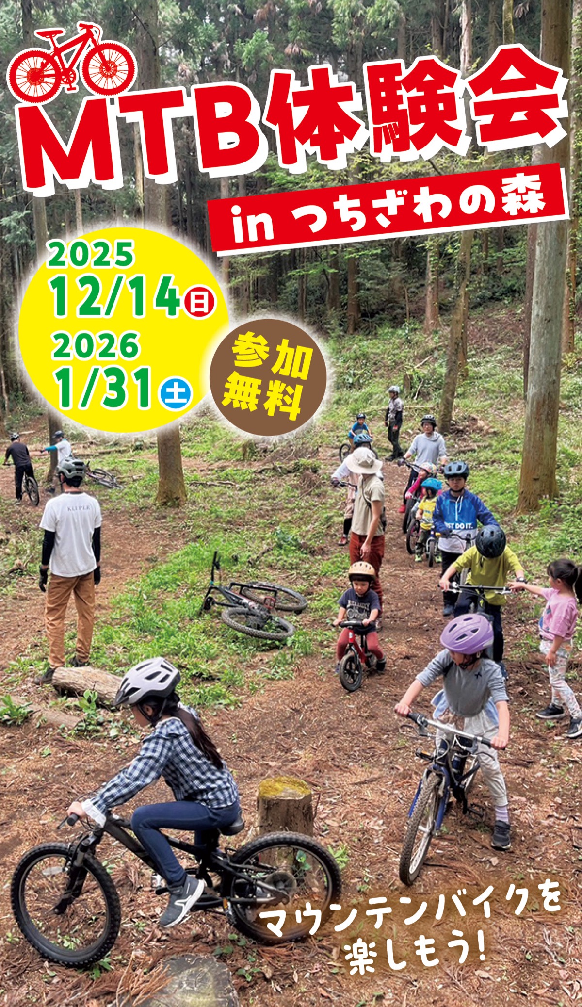 広大な森を駆け抜ける