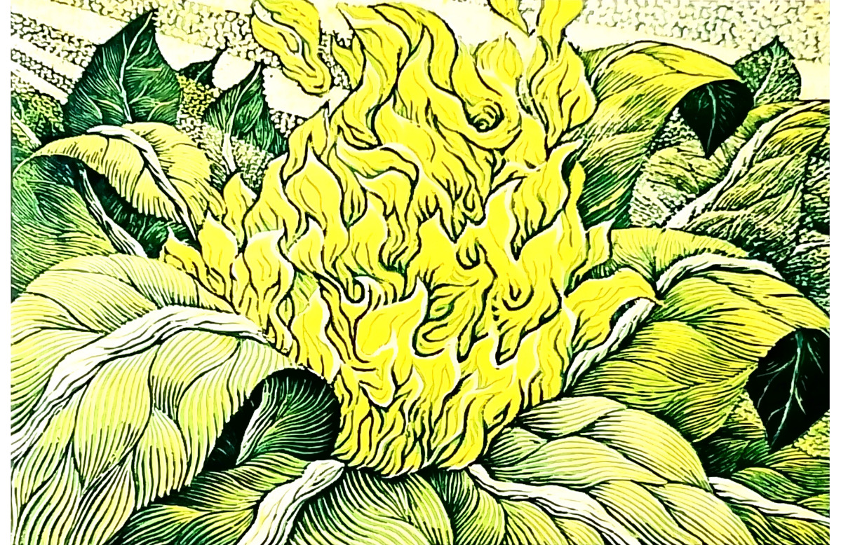 御囲章の木版画展