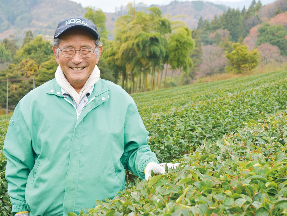 宮本茶園が事業を継承
