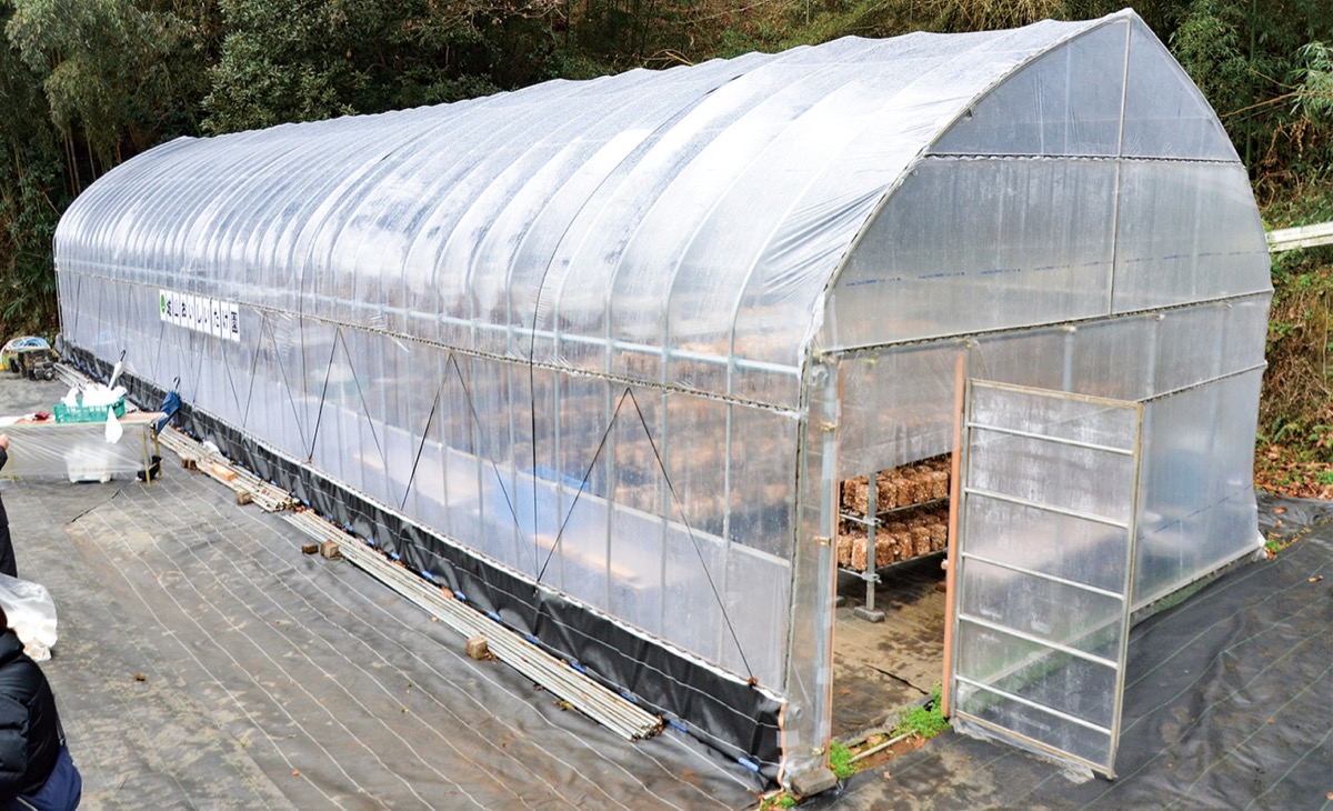 ｢おいしいたけ園｣お披露目
