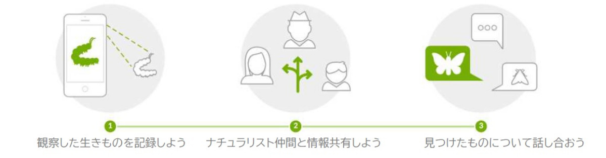 生きもの大調査のイメージ=市提供
