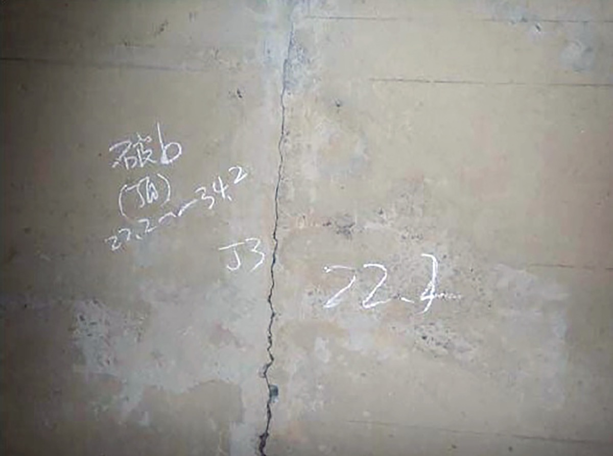 クラック（ひび割れ）発生状況＝市提供