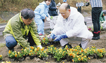 苗を植える石阪丈一町田市長（左）と齋藤俊夫山元町長