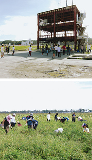 被災地を訪ね（上）、トマト農家でボランティア活動する学生たち（写真提供・玉川学園）