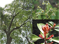 宮司の徒然　其の29