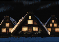 さまざまな作品79点