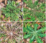 宮司の徒然 其の54