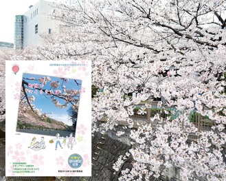 恩田川沿いに咲く桜（昨年）とガイドブックの表紙