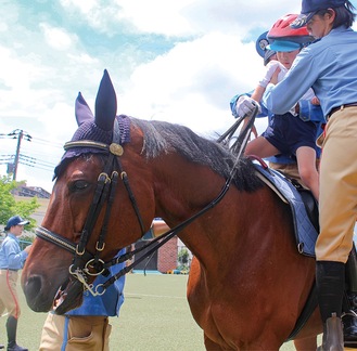 乗馬体験に興奮