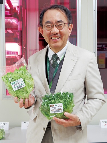 ＬＥＤ栽培で育った玉川レタスを手にする渡邊教授