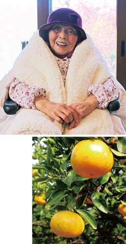 自宅でくつろぐ笑江さん（上）、農薬や化学肥料を使わずに育てられたみかん