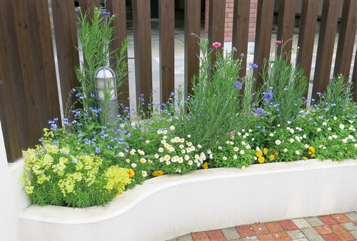 色のバランスやデザイン性が評価された花壇（同園提供）