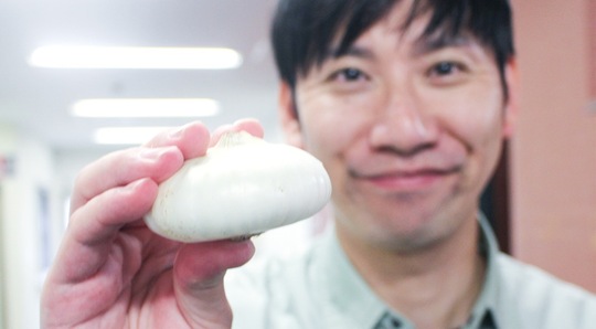 「町田の特産物にしたい」と話す白タマネギを掲げる松井さん