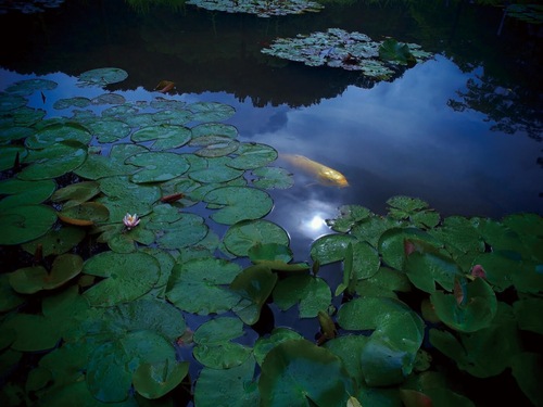 出展作品の１つ