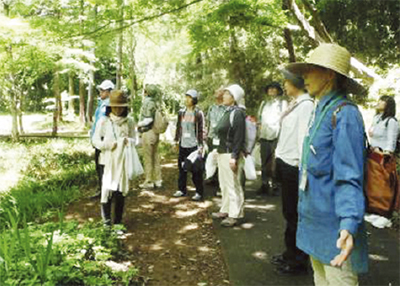 小山田緑地で癒し散策