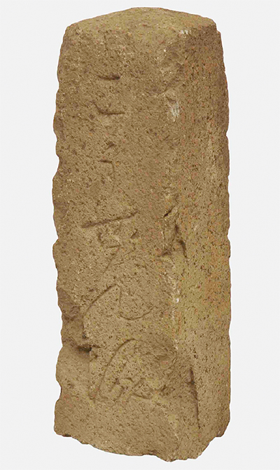 食べることも調査のひとつ