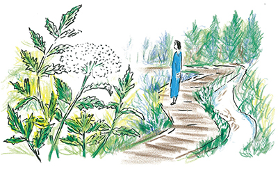 「芹ケ谷公園」