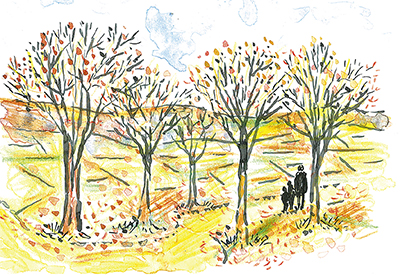 「小野路の雑木林」沢野ひとし