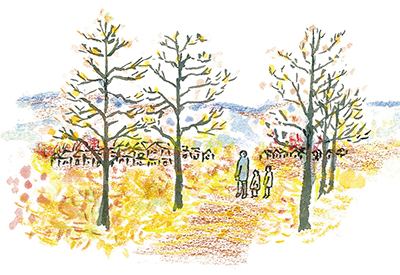 「小野路鎌倉古道」沢野ひとし