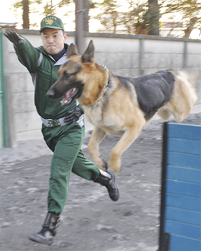 犬と人、言葉いらぬ信頼関係