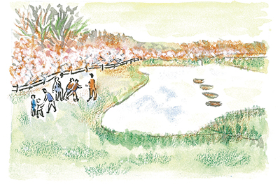 「忠生公園の梅」沢野ひとし