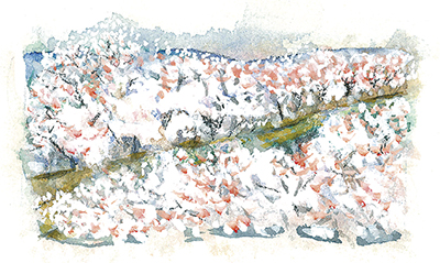 「尾根緑道の桜」沢野ひとし