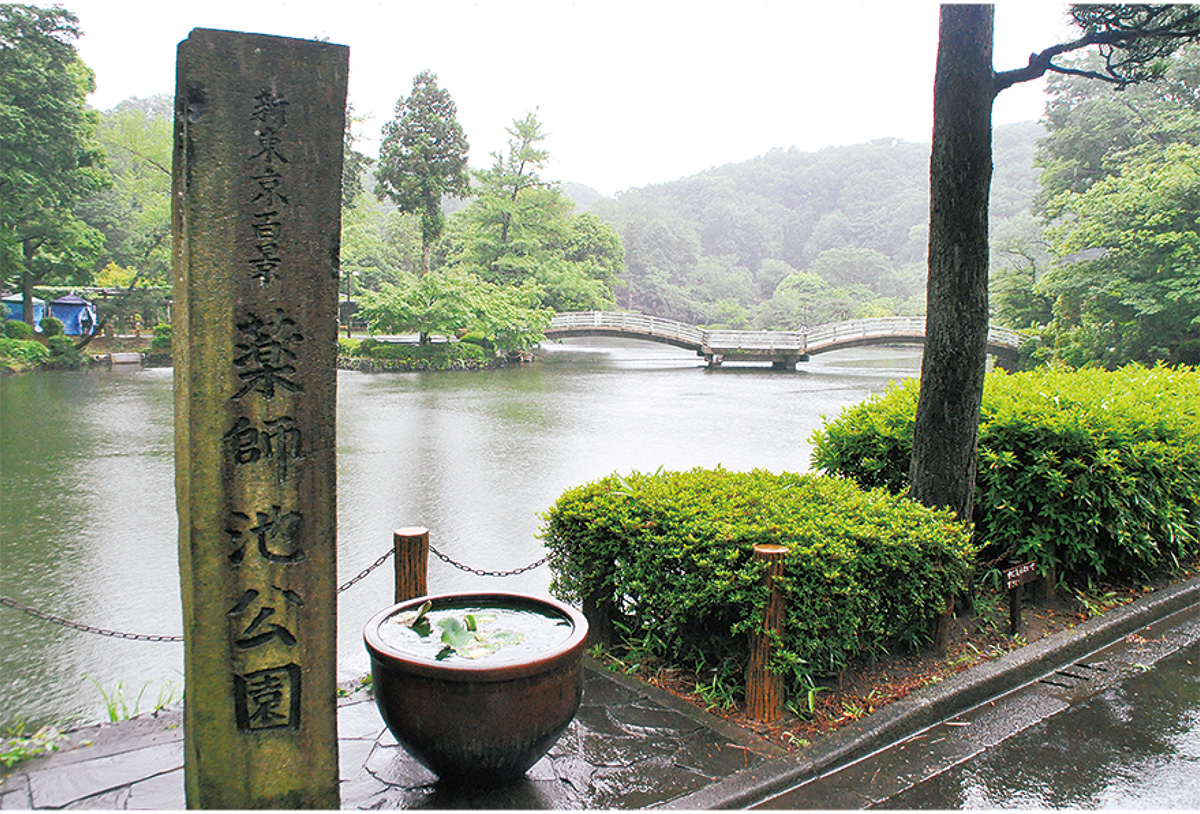 四季折々の景色を楽しめる薬師池
