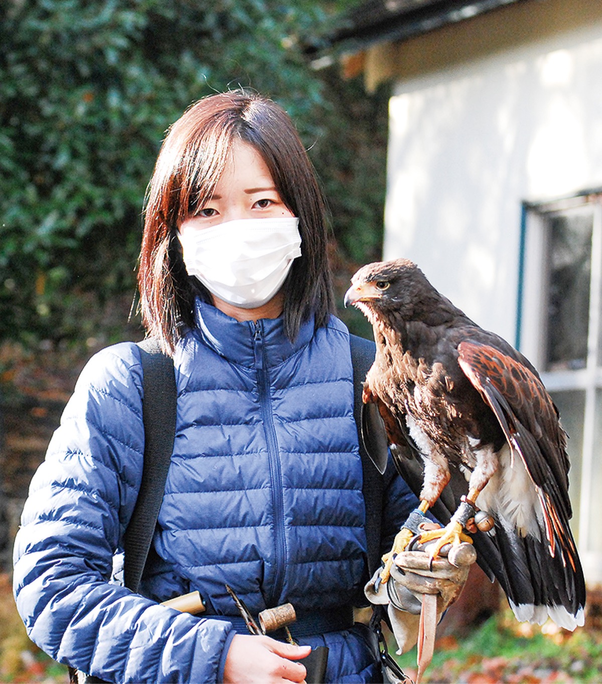鷹匠の江頭さんと相棒の蓮ちゃん