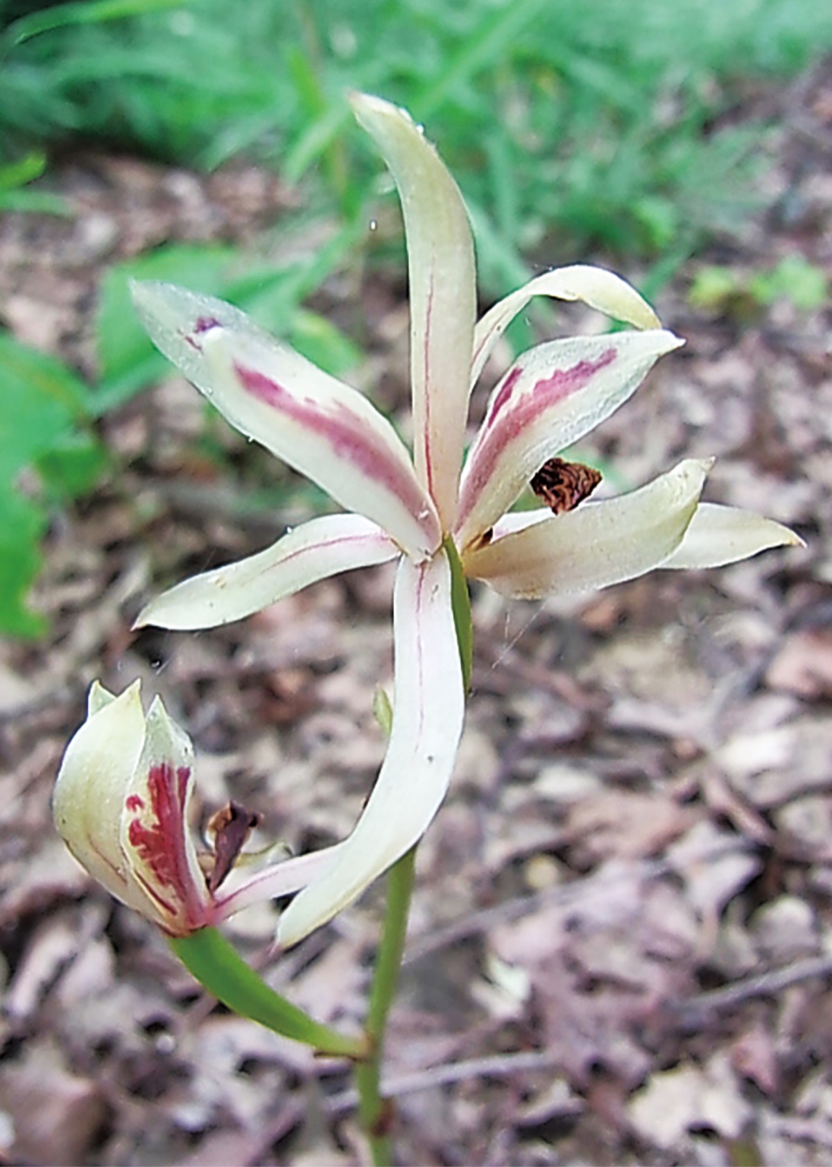 宮司の徒然　其の76