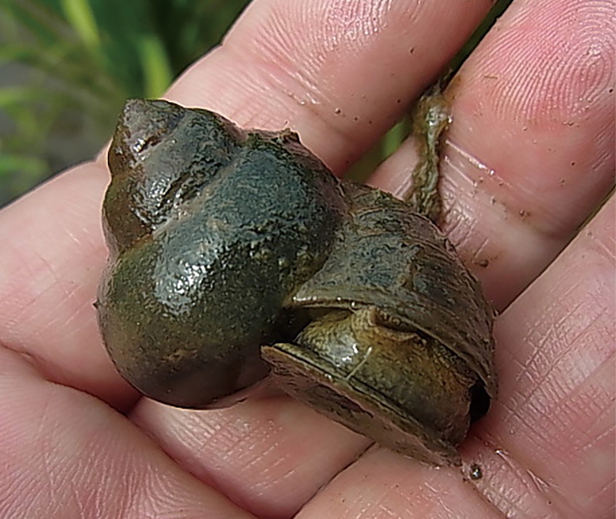 宮司の徒然　其の7８