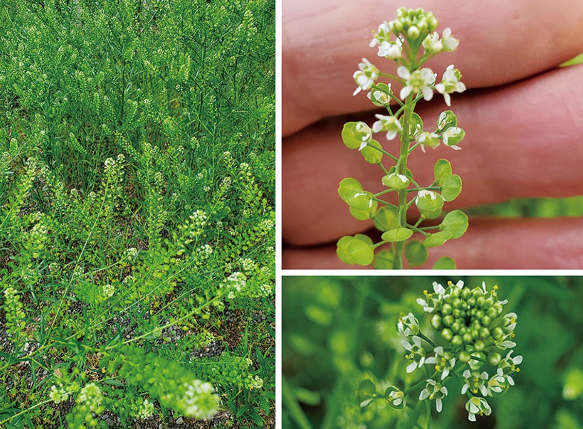 宮司の徒然　其の79