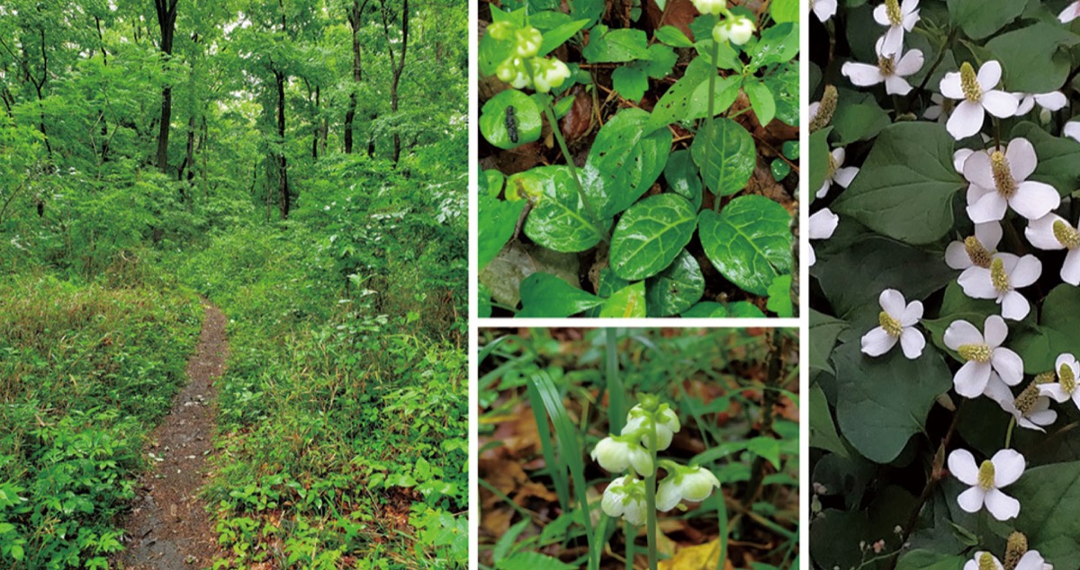 宮司の徒然　其の82