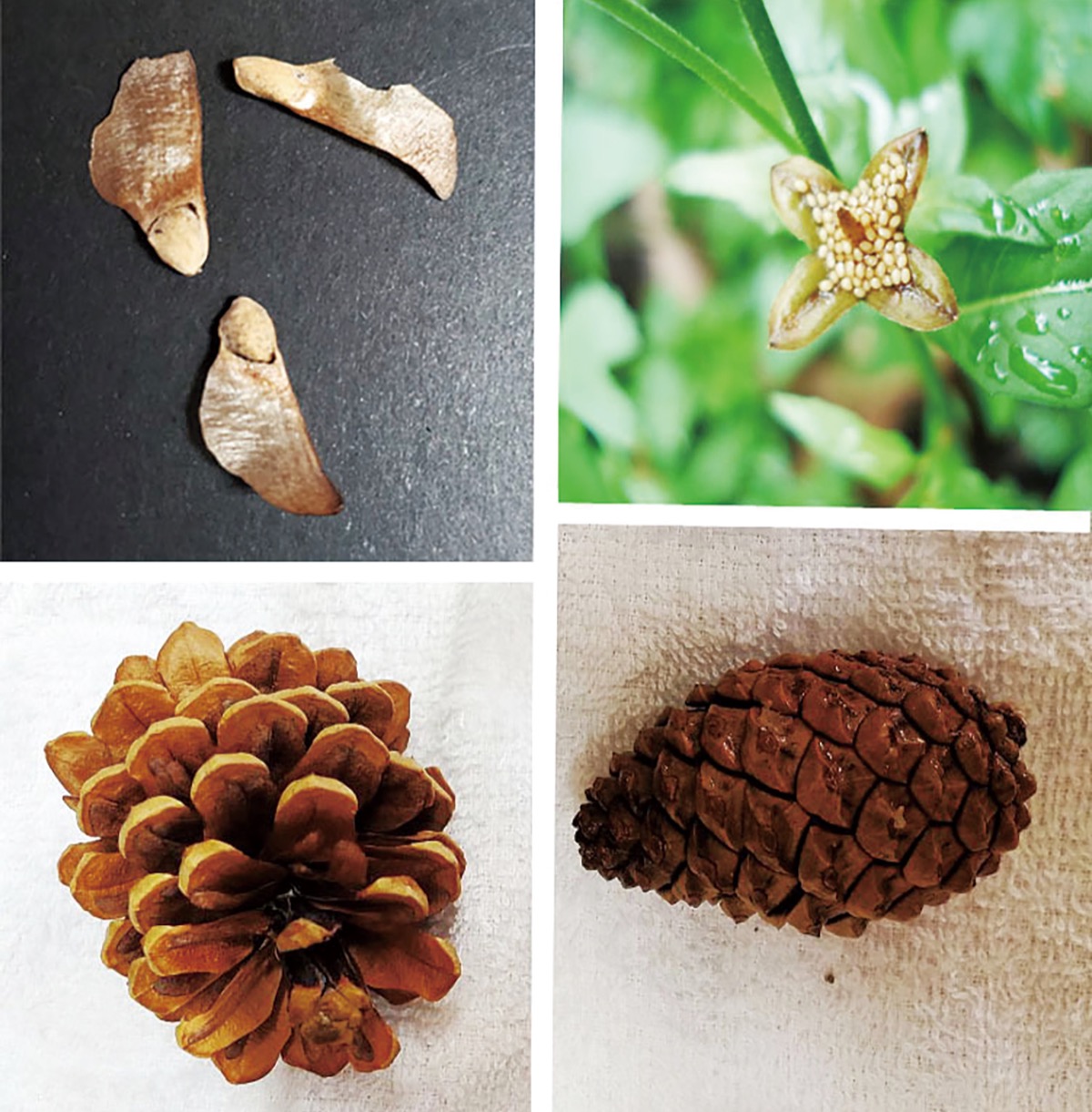 宮司の徒然　其の83