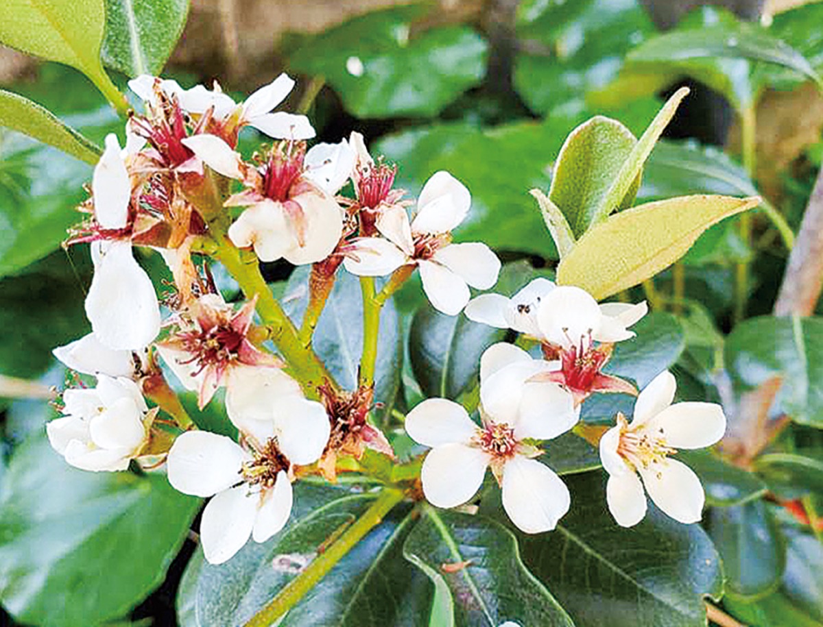 宮司の徒然　其の84