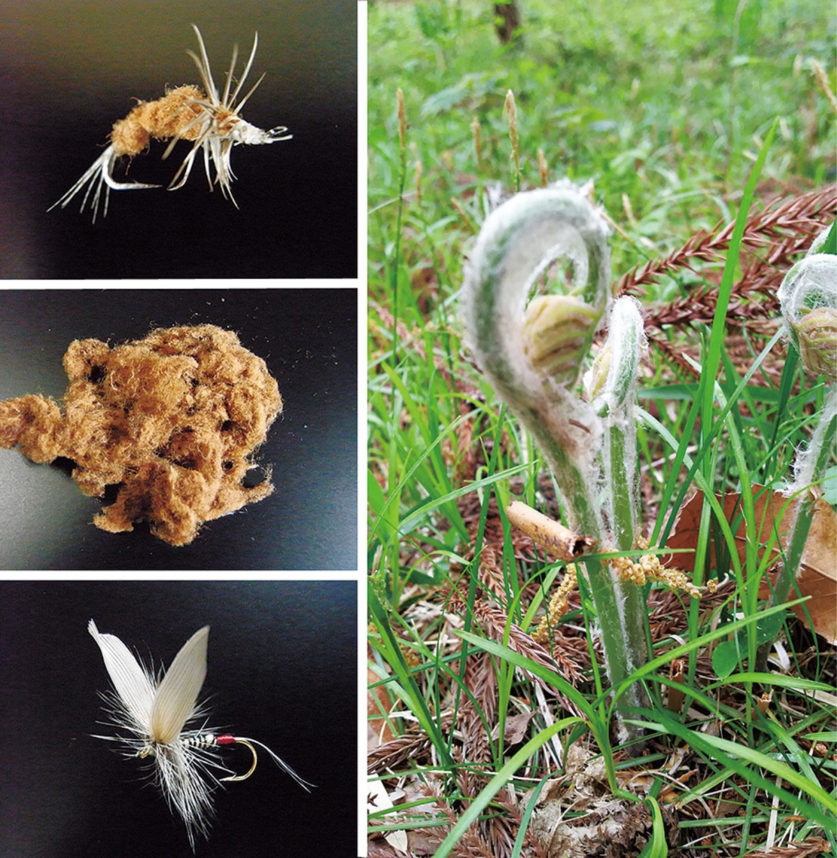 宮司の徒然　其の87町田天満宮　宮司　池田泉