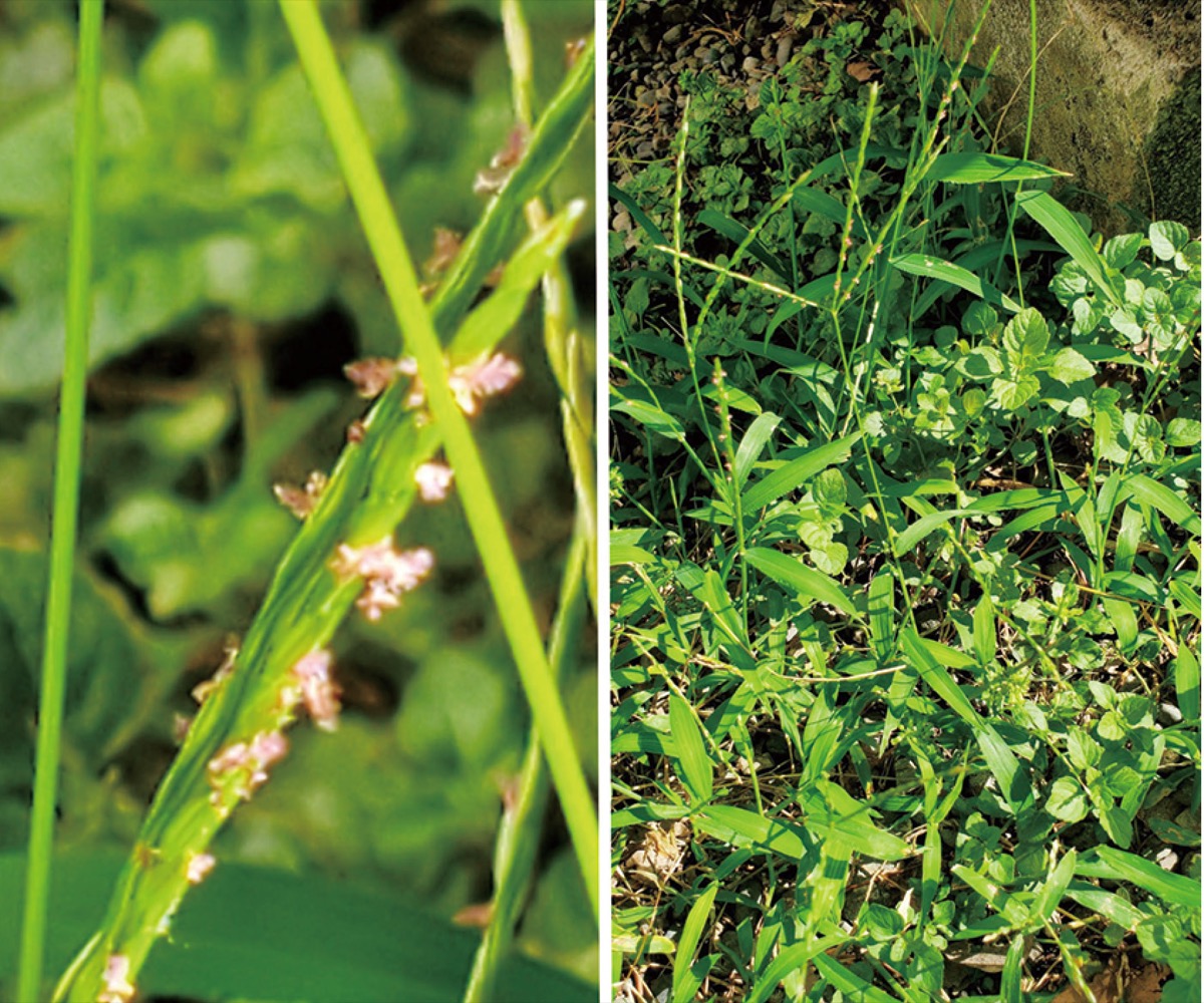 宮司の徒然　其の89