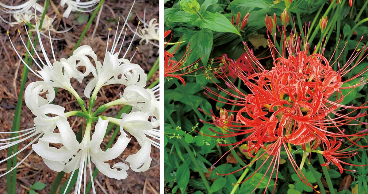 宮司の徒然　其の90