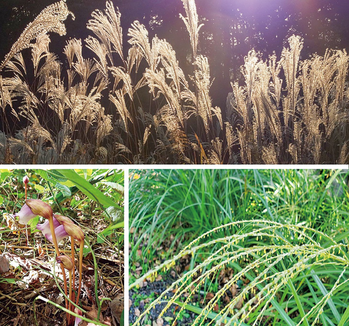 宮司の徒然　其の91