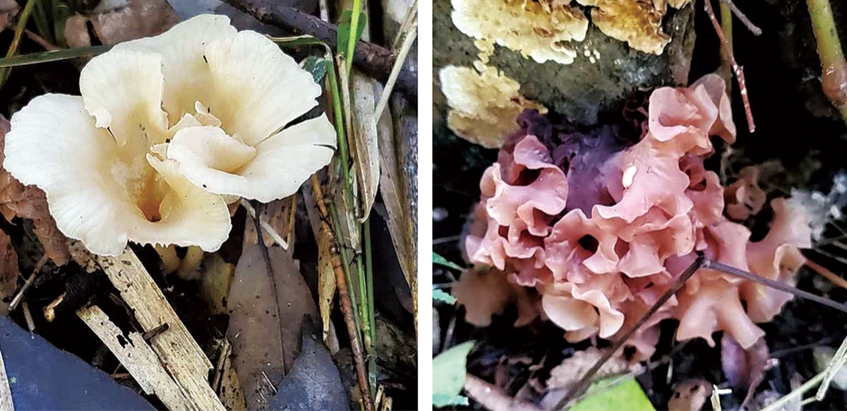 宮司の徒然　其の９２