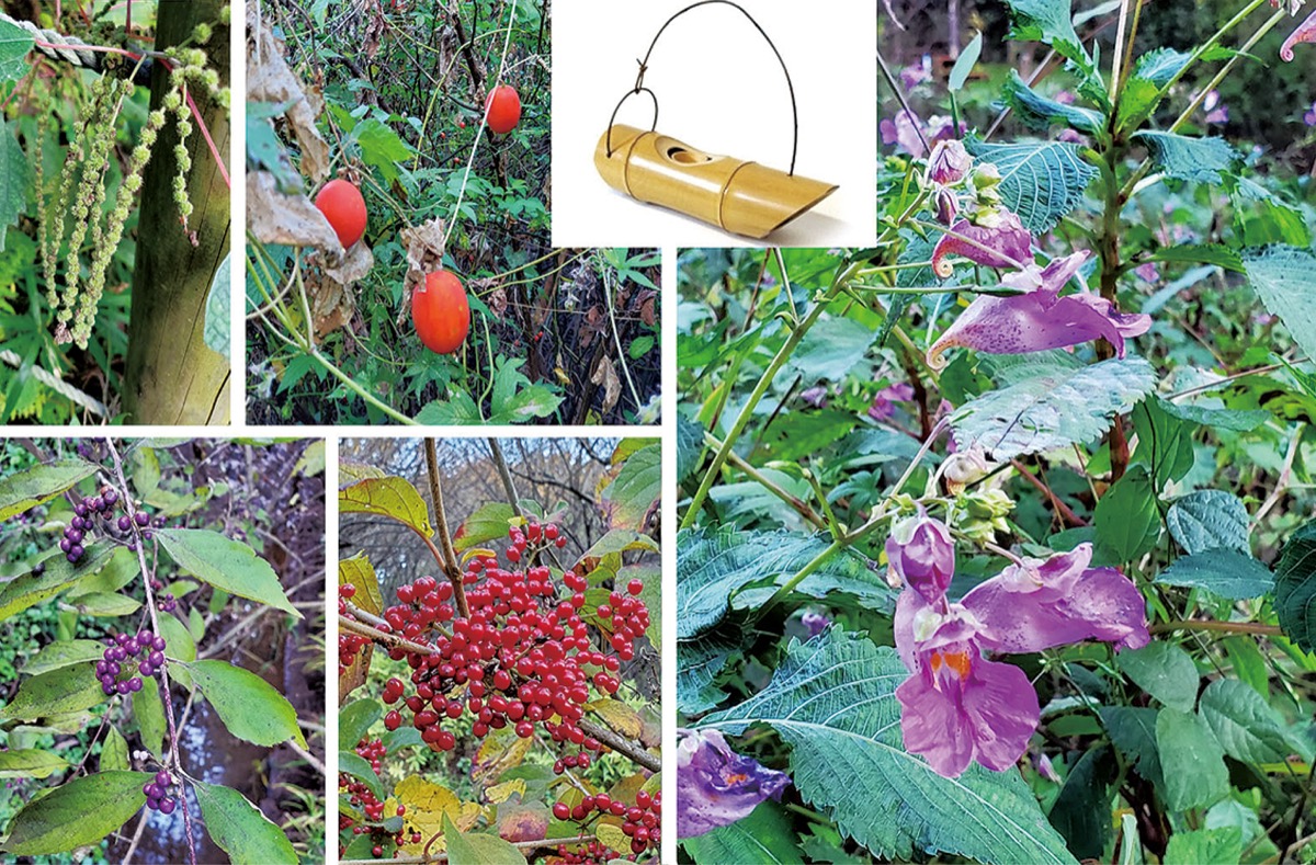 宮司の徒然　其の９２