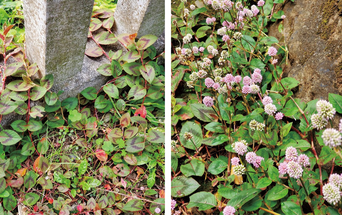 宮司の徒然　其の９４