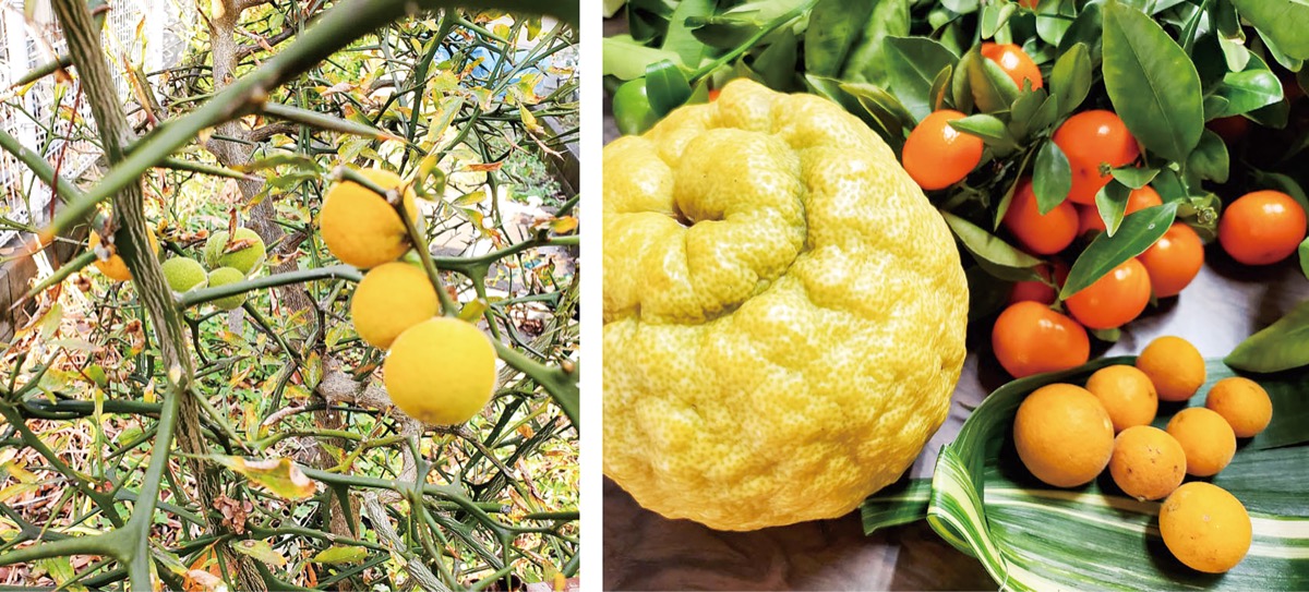 宮司の徒然　其の９５